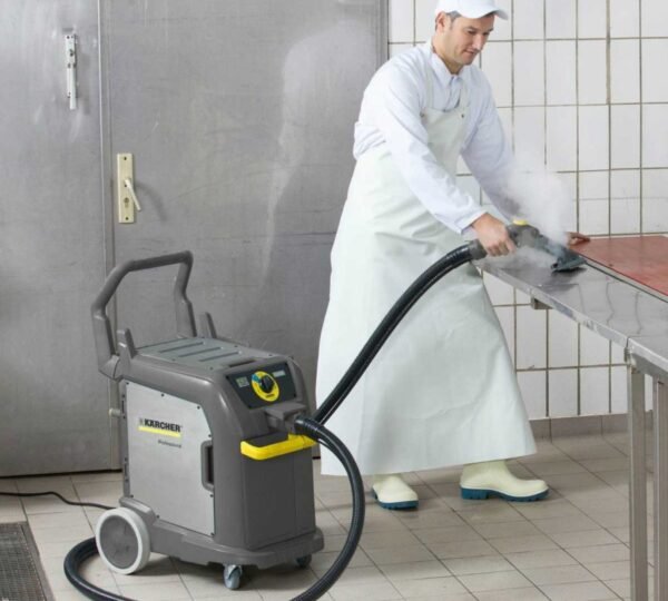 Steam Cleaning Machine